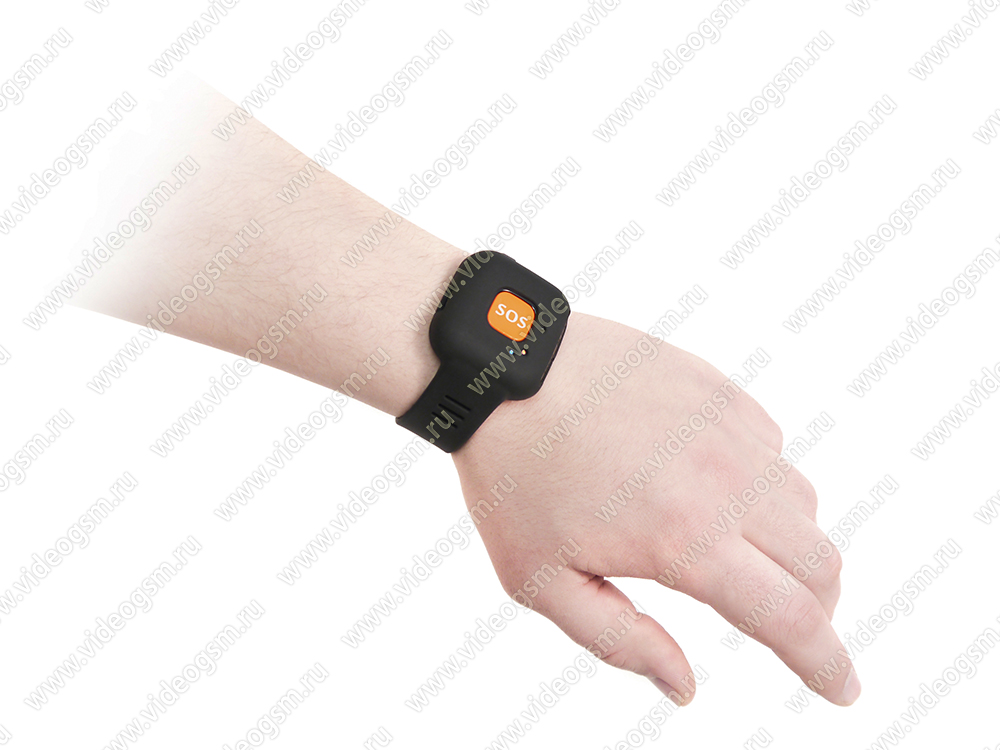 Порно мини-мисс София Лорен Чиколонның жалаңаш суреті