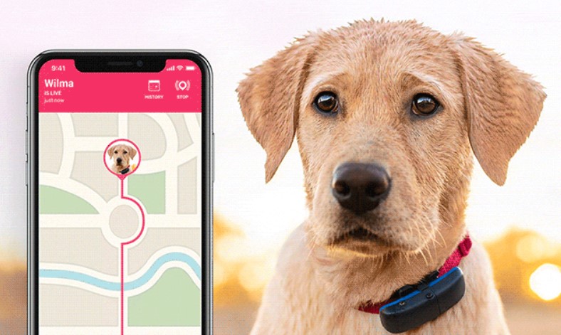 GPS для собак, трекер для собак купить